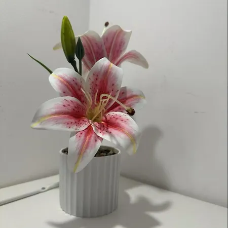 Dimitris Center * 테살로니키